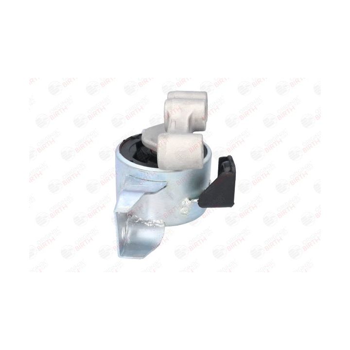 Variklio montavimas BIRTH 52630