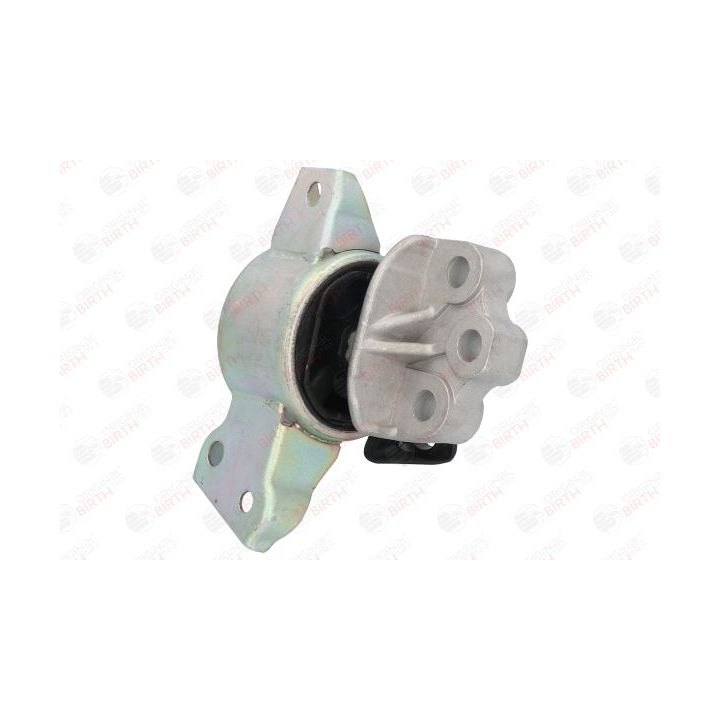 Variklio montavimas BIRTH 52631