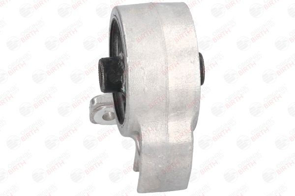 Variklio montavimas BIRTH 52648