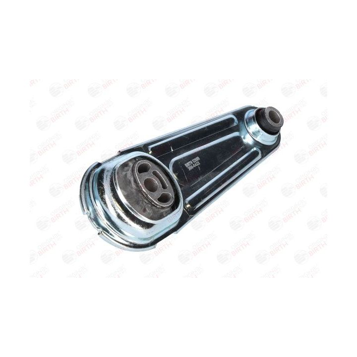 Variklio montavimas BIRTH 52689