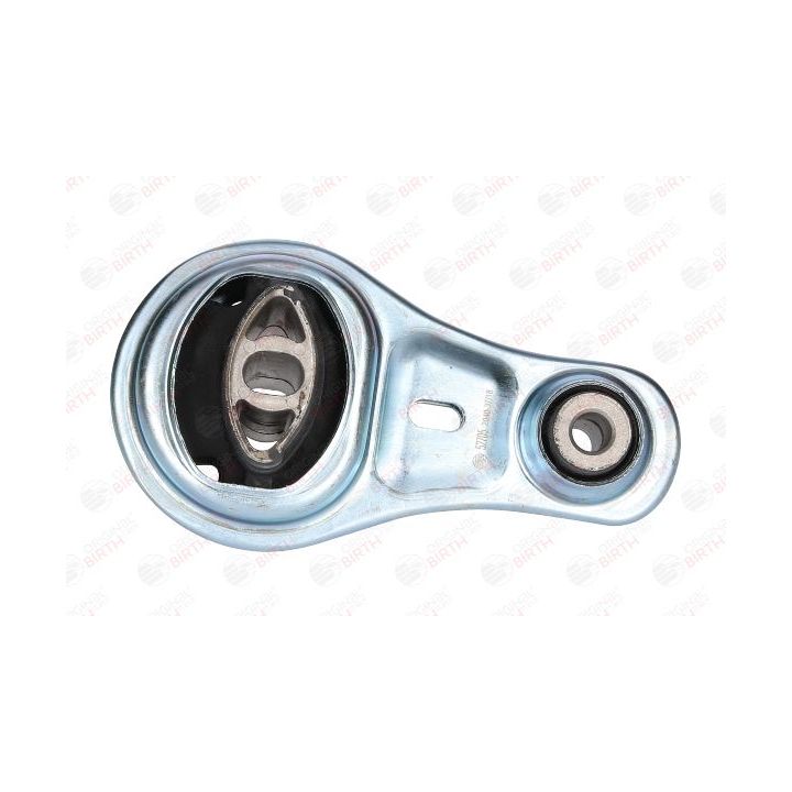 Variklio montavimas BIRTH 52705