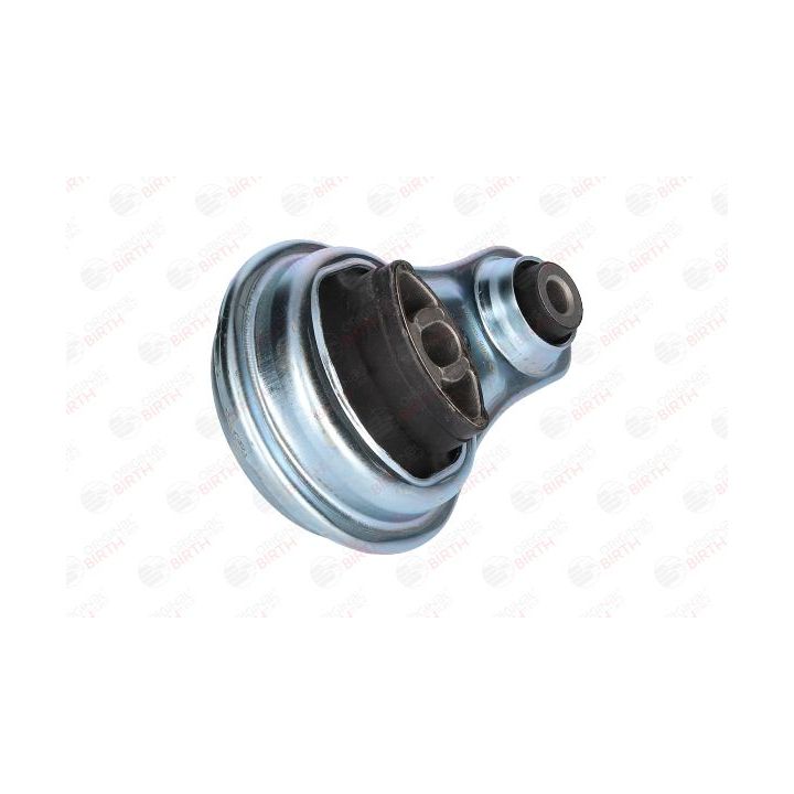 Variklio montavimas BIRTH 52705