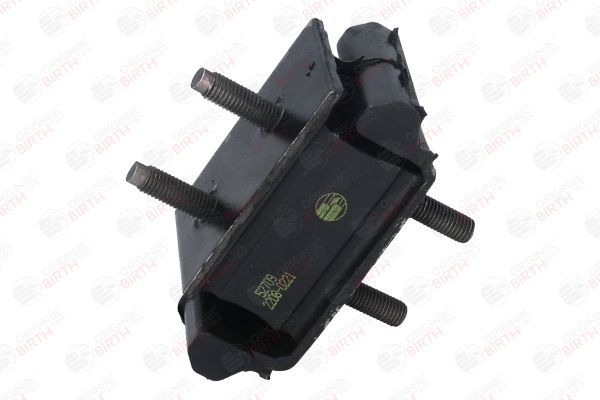 Variklio montavimas BIRTH 52709