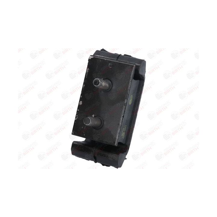 Variklio montavimas BIRTH 52709