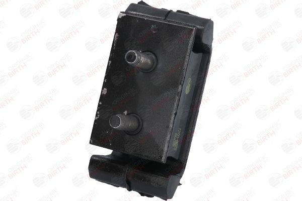 Variklio montavimas BIRTH 52709