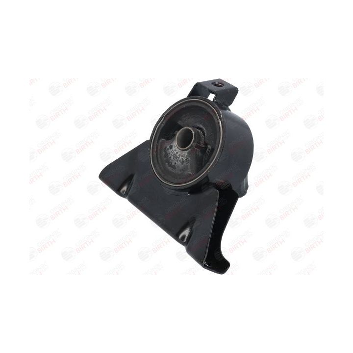 Variklio montavimas BIRTH 52742