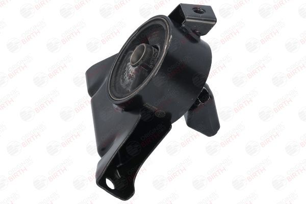 Variklio montavimas BIRTH 52742