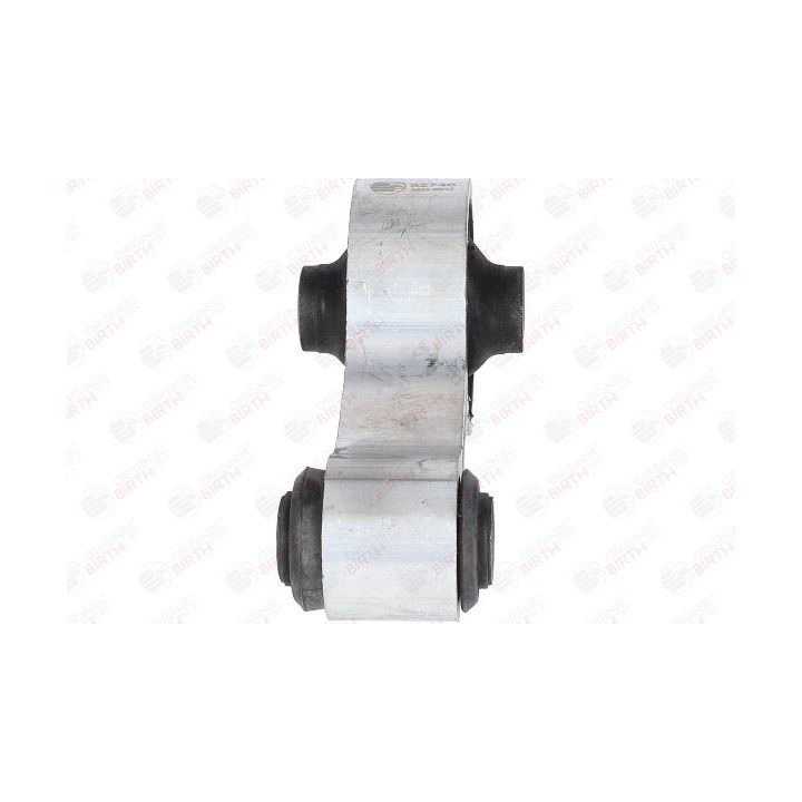 Variklio montavimas BIRTH 52746