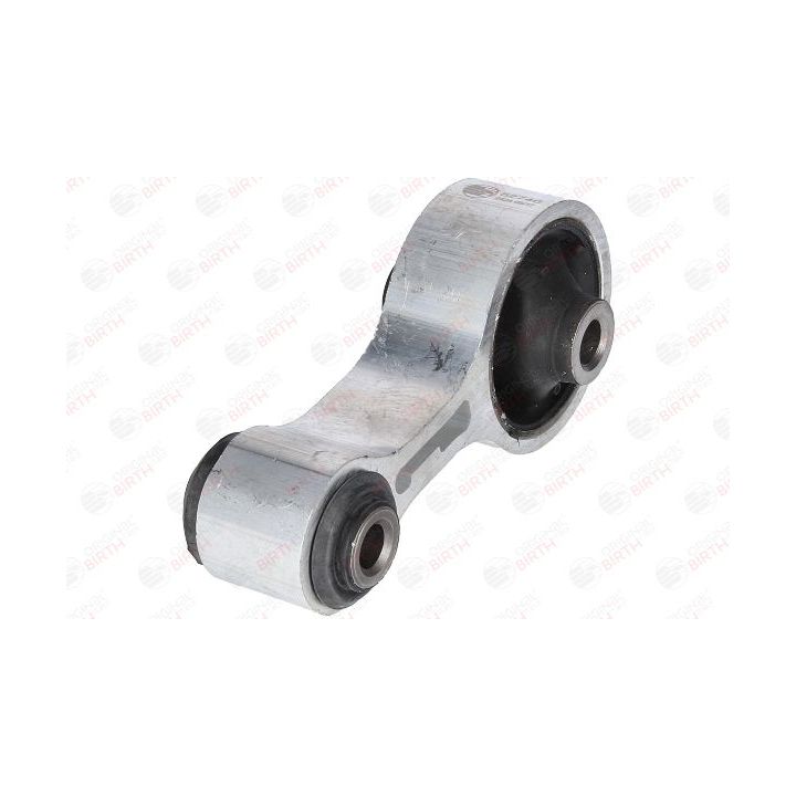 Variklio montavimas BIRTH 52746