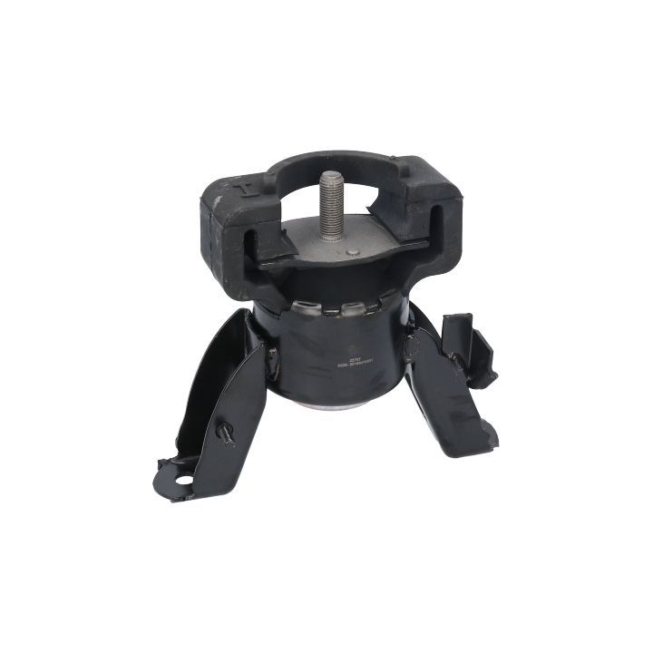 Variklio montavimas BIRTH 52767