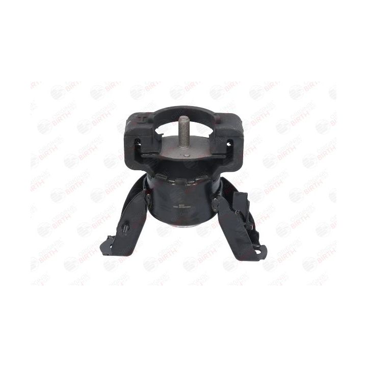 Variklio montavimas BIRTH 52767