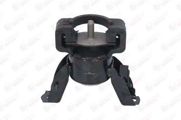 Variklio montavimas BIRTH 52767