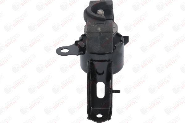 Variklio montavimas BIRTH 52767