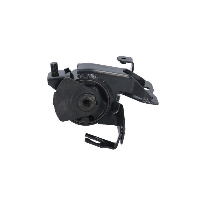 Variklio montavimas BIRTH 52768