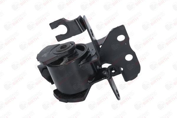 Variklio montavimas BIRTH 52768