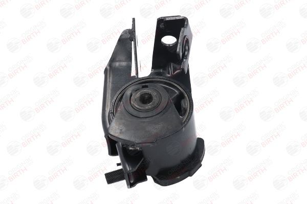 Variklio montavimas BIRTH 52768