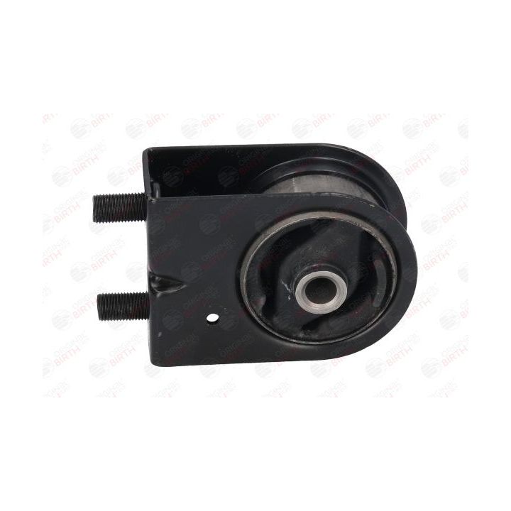 Variklio montavimas BIRTH 52774