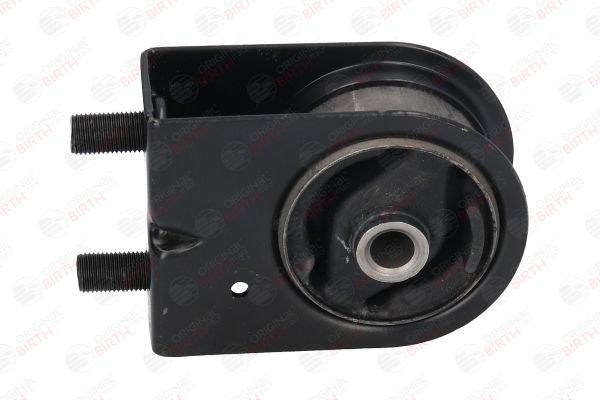 Variklio montavimas BIRTH 52774