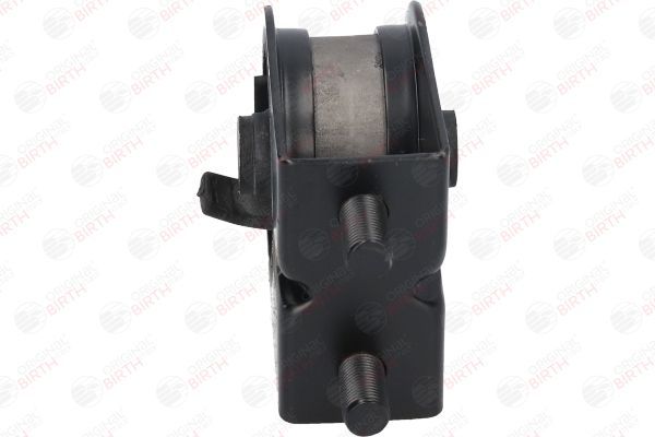 Variklio montavimas BIRTH 52774