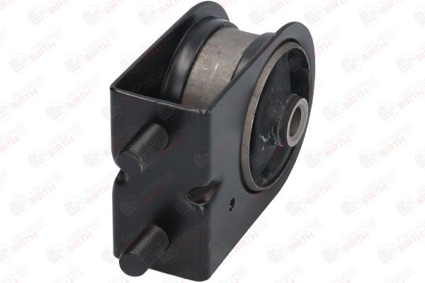 Variklio montavimas BIRTH 52774