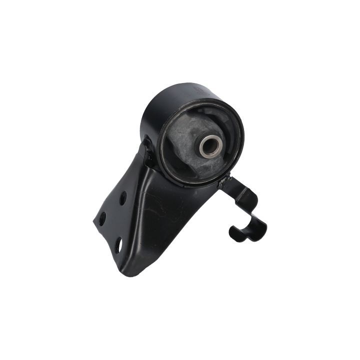 Variklio montavimas BIRTH 52780