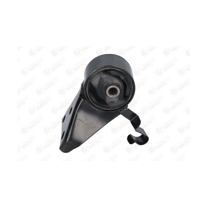 Variklio montavimas BIRTH 52780