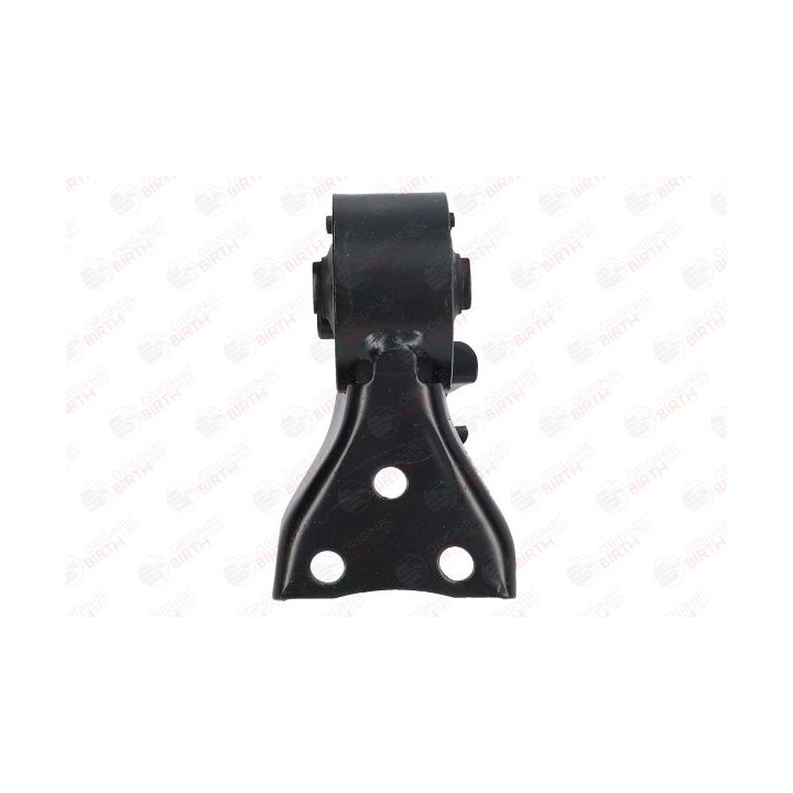 Variklio montavimas BIRTH 52780