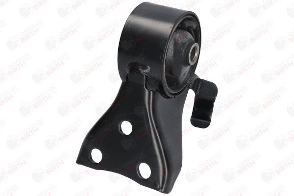 Variklio montavimas BIRTH 52780