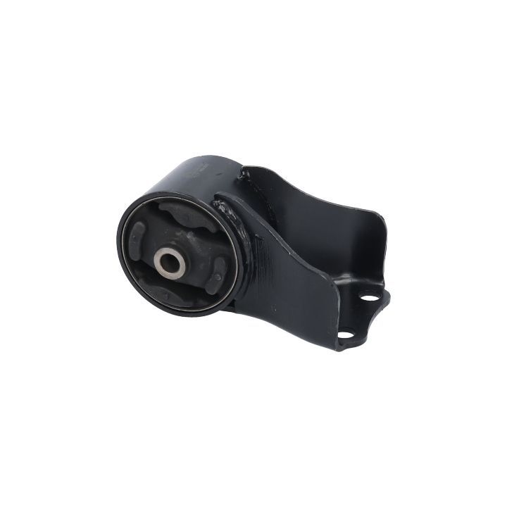 Variklio montavimas BIRTH 52781