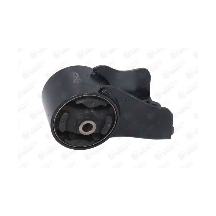 Variklio montavimas BIRTH 52781