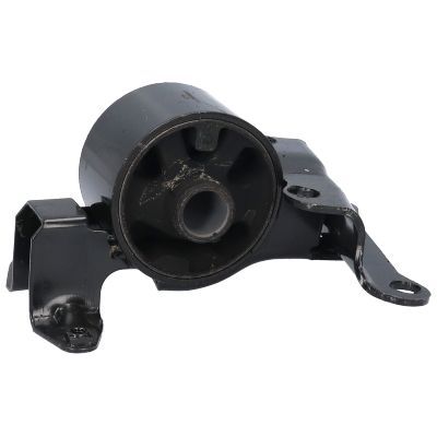 Variklio montavimas BIRTH 52788