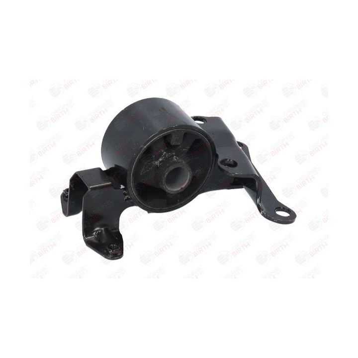 Variklio montavimas BIRTH 52788