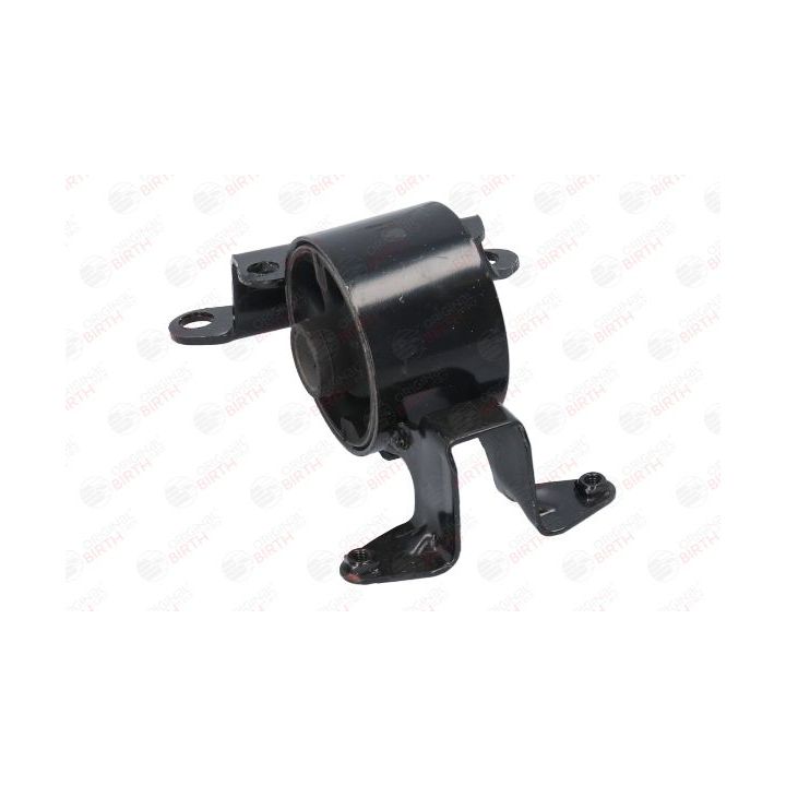 Variklio montavimas BIRTH 52788