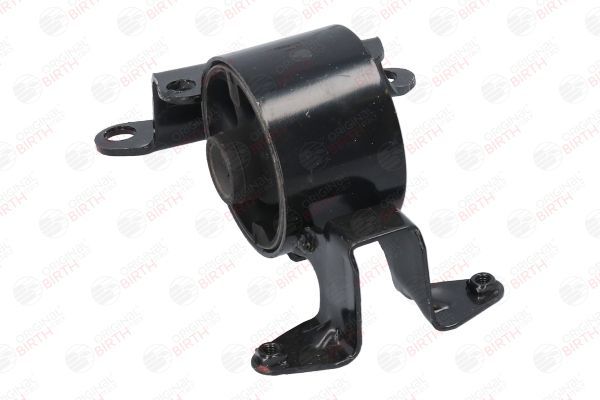 Variklio montavimas BIRTH 52788