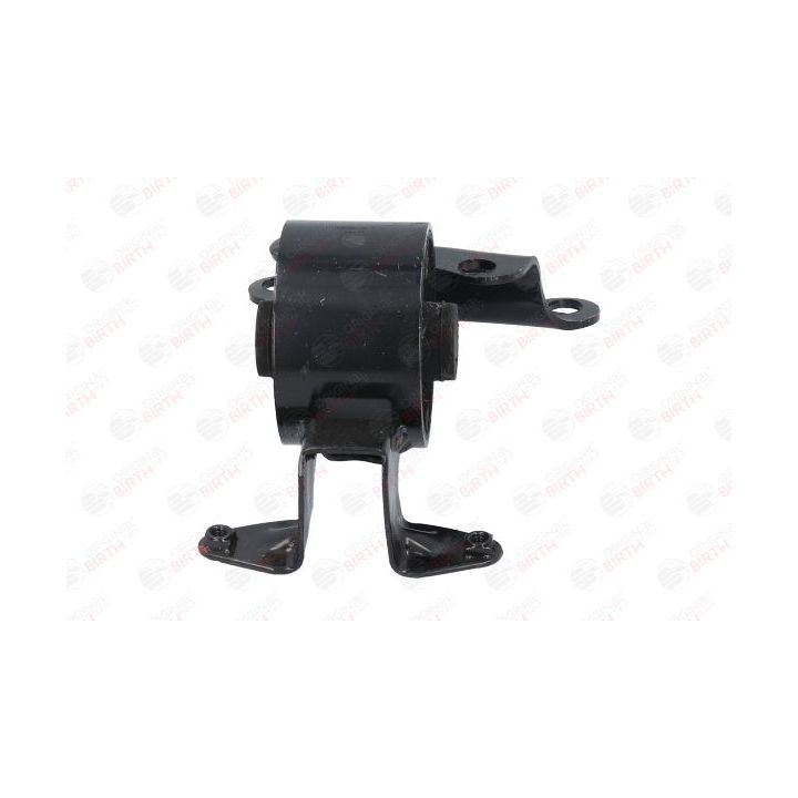 Variklio montavimas BIRTH 52788