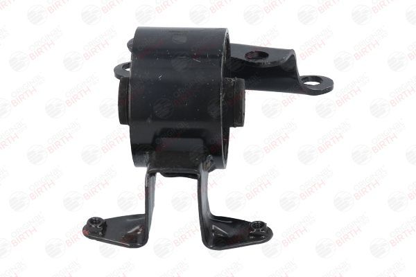 Variklio montavimas BIRTH 52788