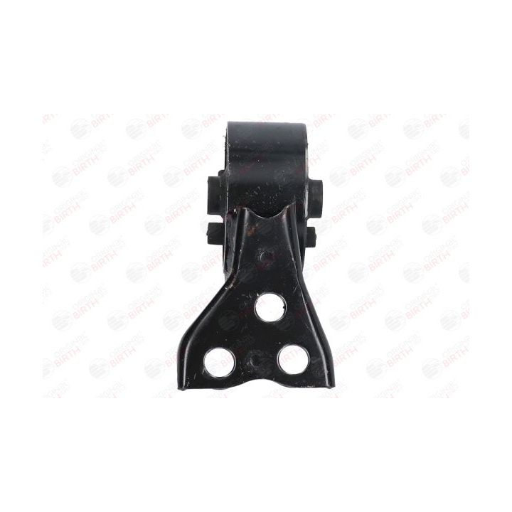 Variklio montavimas BIRTH 52789