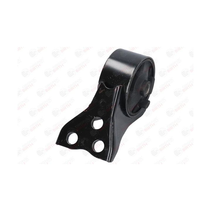 Variklio montavimas BIRTH 52789