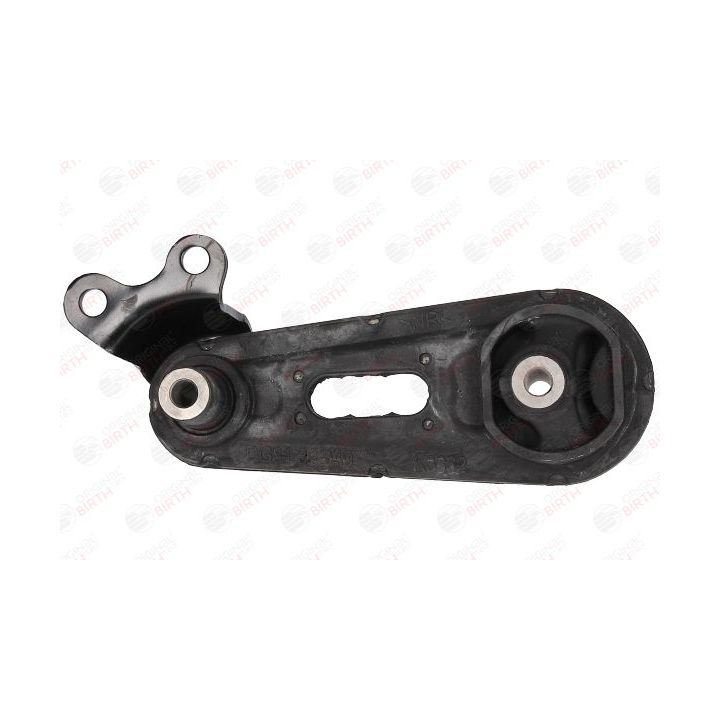 Variklio montavimas BIRTH 52791