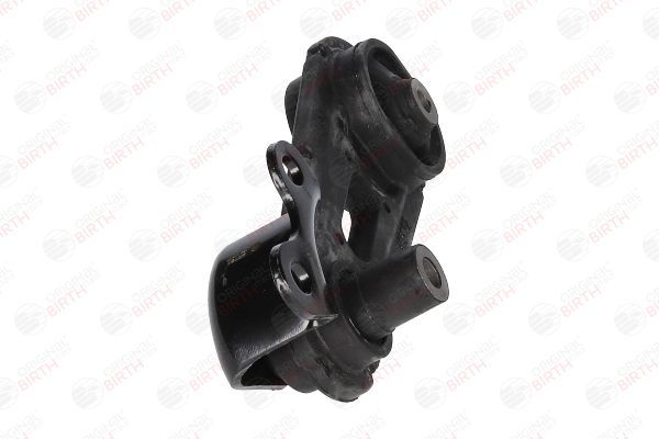 Variklio montavimas BIRTH 52791