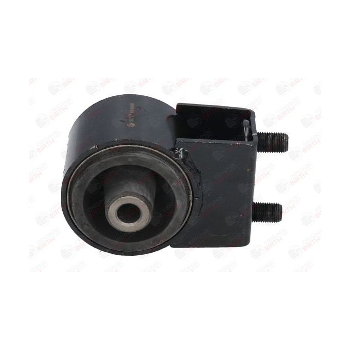 Variklio montavimas BIRTH 52797