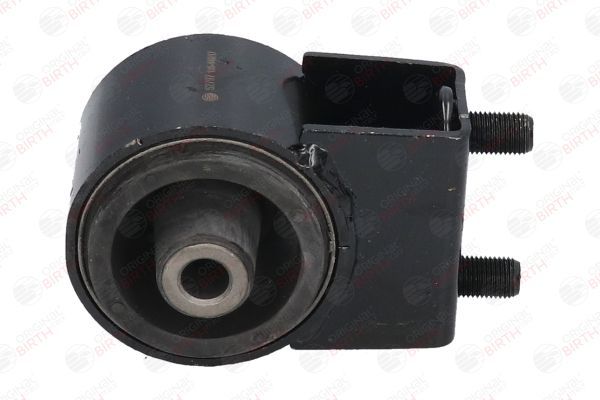 Variklio montavimas BIRTH 52797