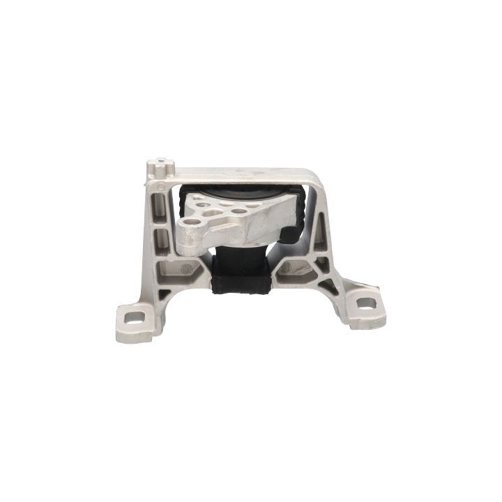 Variklio montavimas BIRTH 52800