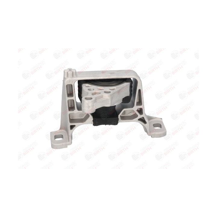 Variklio montavimas BIRTH 52800