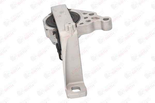 Variklio montavimas BIRTH 52800