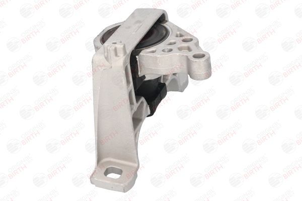 Variklio montavimas BIRTH 52800