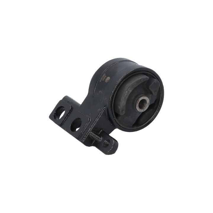 Variklio montavimas BIRTH 52806