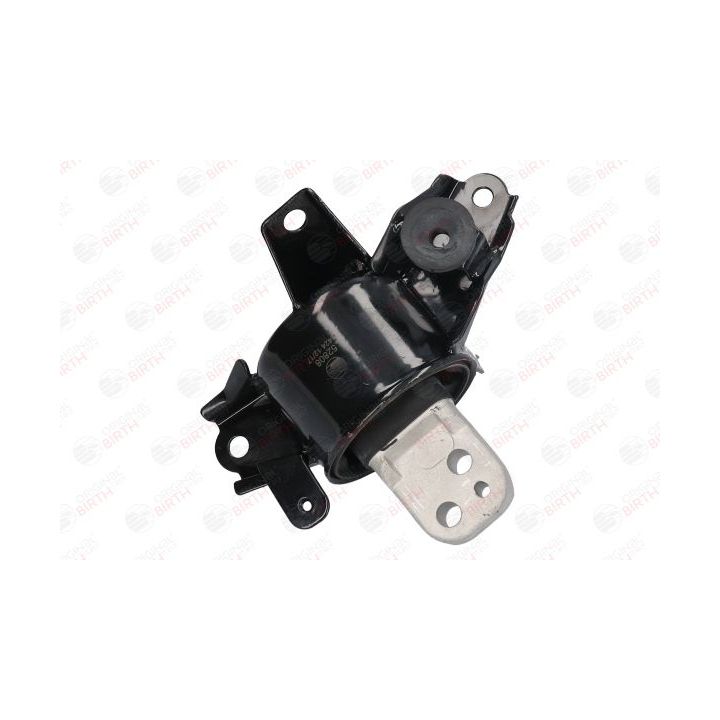 Variklio montavimas BIRTH 52808