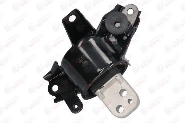 Variklio montavimas BIRTH 52808