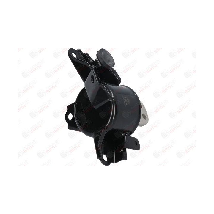 Variklio montavimas BIRTH 52808